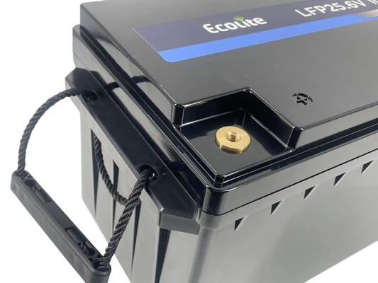 25.6V 100Ah LFP LiFePO4 batterie au lithium avec BMS pour le système solaire domestique
