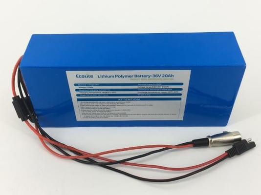 Ecolite NCM batterie batterie haute densité 36V 20,8Ah batterie au lithium avec BMS