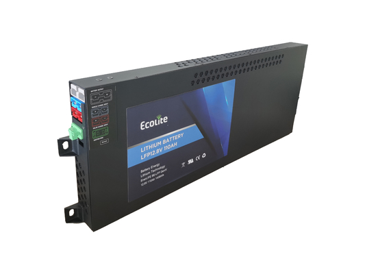 LiFePO4 léger 12V 110Ah RV batterie au lithium fer phosphate avec écran LED