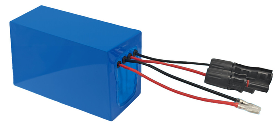 ECOLFP2407 25.6V 7.5Ah Batterie LifePO4 pour système de suivi solaire avec fonction MPPT intégrée
