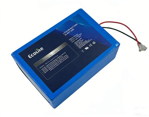 Batterie de suivi solaire avec MPPT intégré légère LiFePO4 pour un suivi solaire de précision