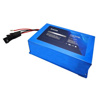 ECOLFP2409 25,6V 9Ah Batterie de suivi solaire LFP de capacité moyenne avec MPPT intégré pour un temps de fonctionnement amélioré